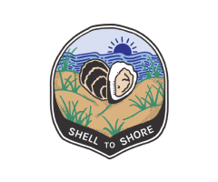 Shell to Shore